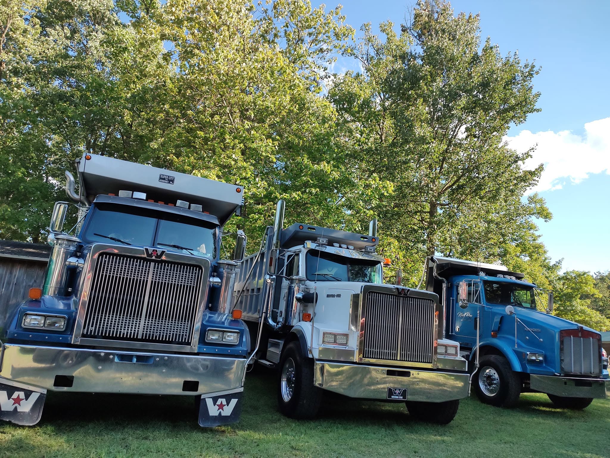 Three Western Star semi trucks lined up facing the camera in morning light, impressive chrome grilles